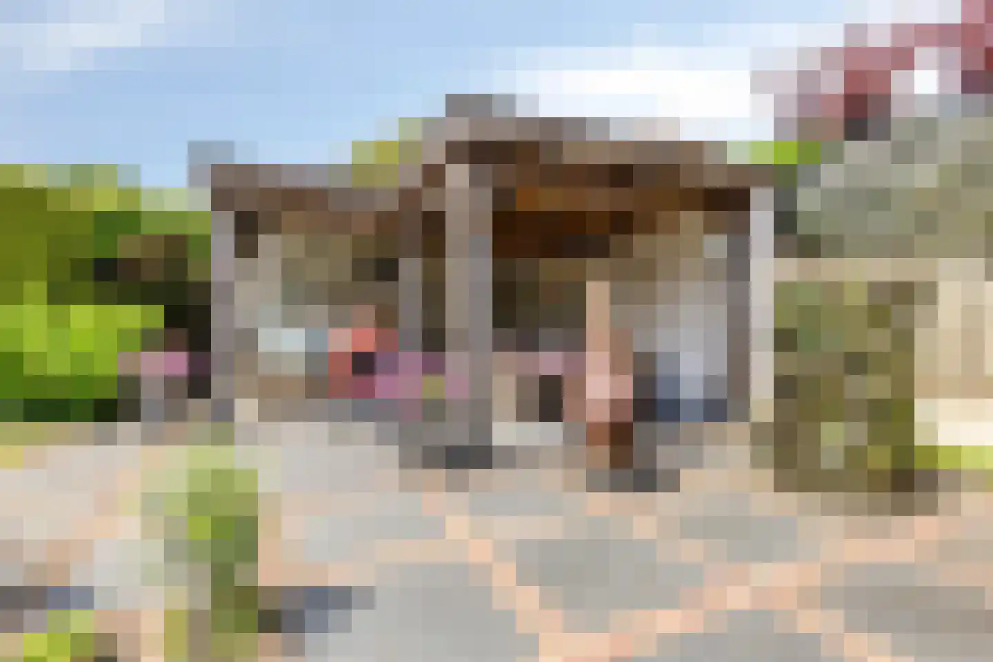 Koriander 2 Sint-Oedenrode thumbnail 48
