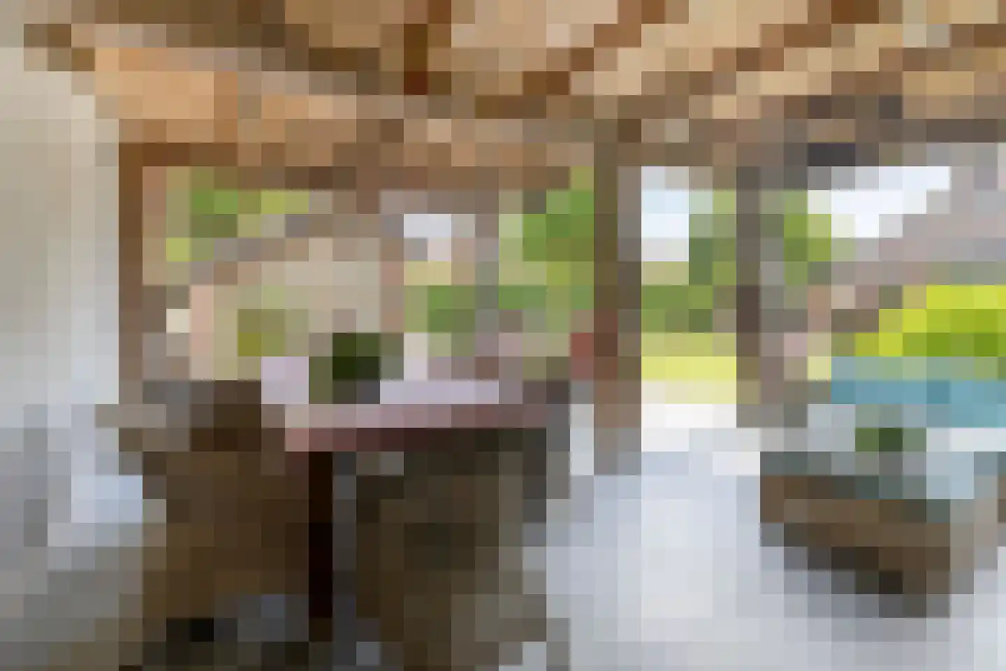 Koriander 2 Sint-Oedenrode thumbnail 50