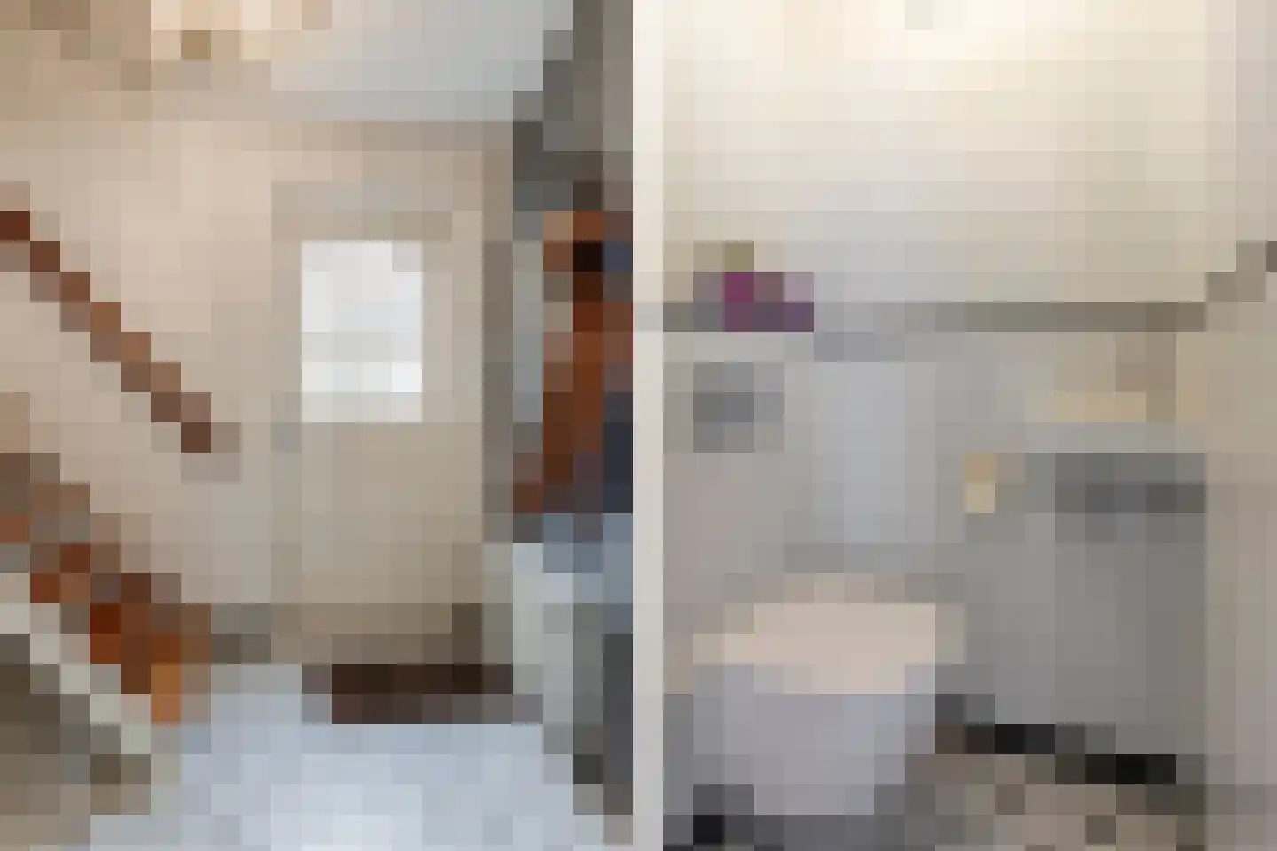 Koriander 2 Sint-Oedenrode thumbnail 9