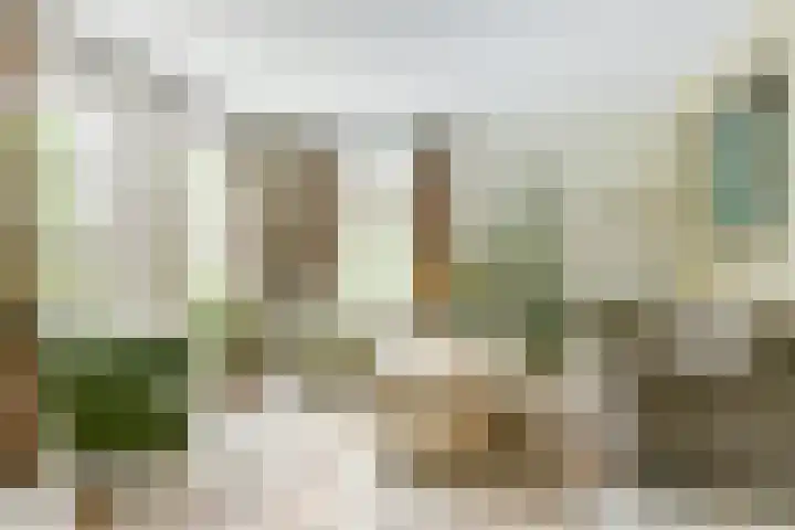 Koriander 4 Hoogkarspel thumbnail 11