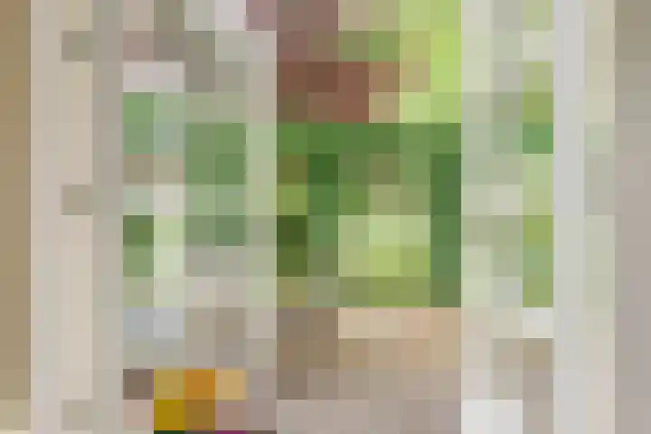 Koriander 4 Hoogkarspel thumbnail 15