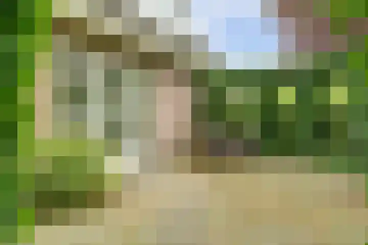 Koriander 4 Hoogkarspel thumbnail 16