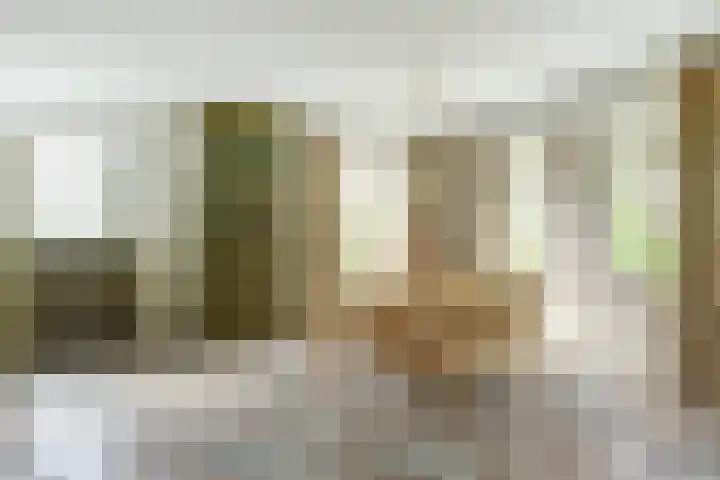 Koriander 4 Hoogkarspel thumbnail 18