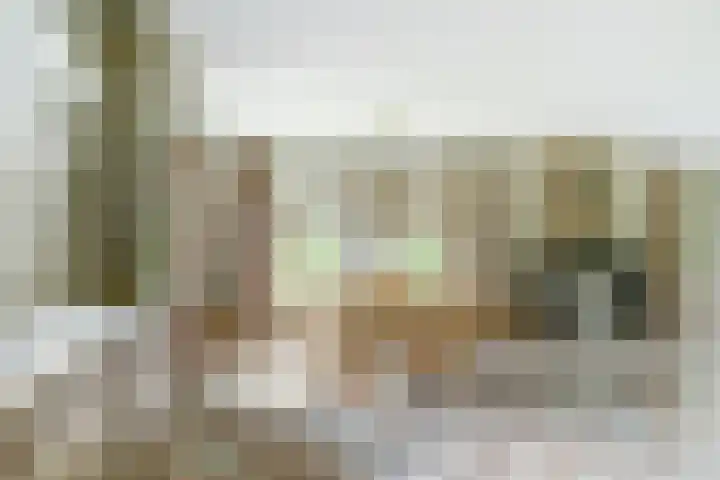 Koriander 4 Hoogkarspel thumbnail 19