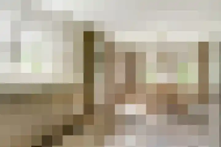 Koriander 4 Hoogkarspel thumbnail 21