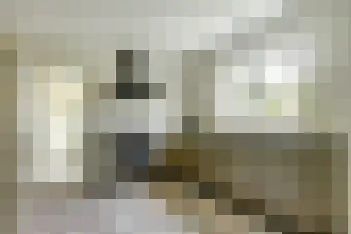 Koriander 4 Hoogkarspel thumbnail 22