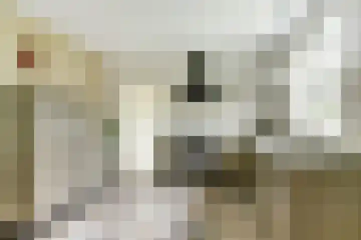 Koriander 4 Hoogkarspel thumbnail 23