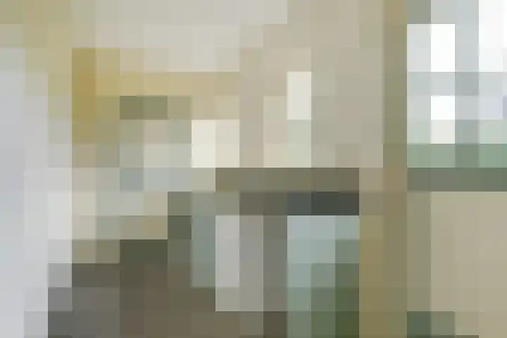 Koriander 4 Hoogkarspel thumbnail 24