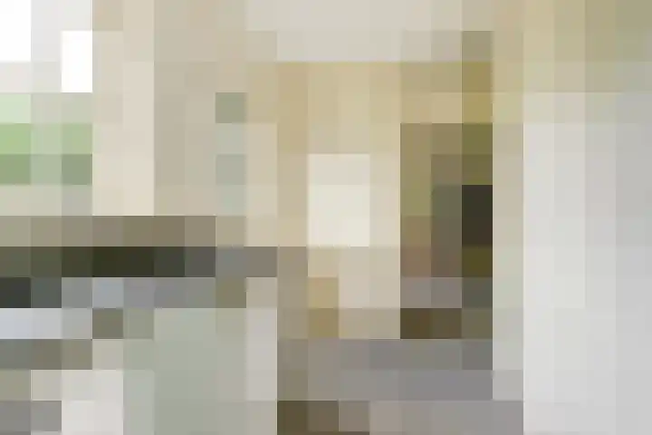 Koriander 4 Hoogkarspel thumbnail 25