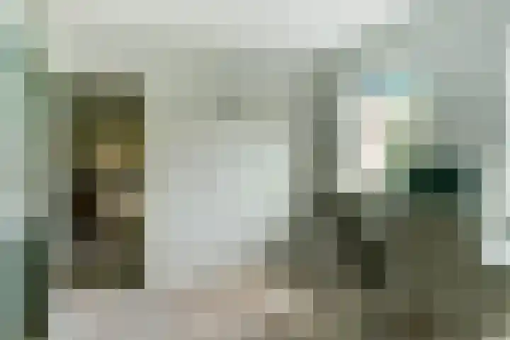 Koriander 4 Hoogkarspel thumbnail 26