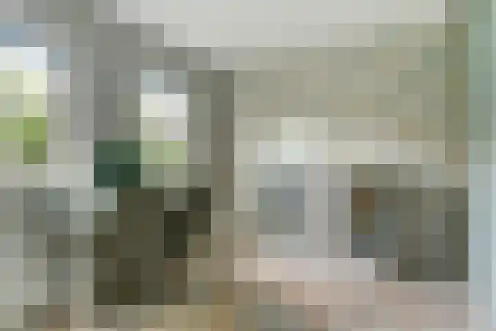 Koriander 4 Hoogkarspel thumbnail 27