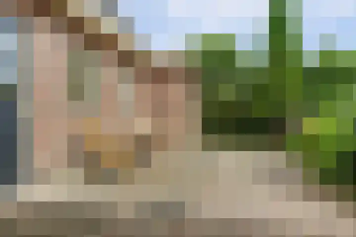 Koriander 4 Hoogkarspel thumbnail 29