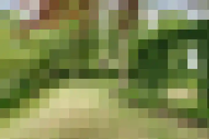 Koriander 4 Hoogkarspel thumbnail 30