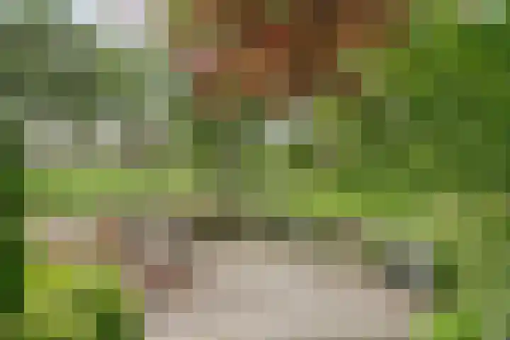 Koriander 4 Hoogkarspel thumbnail 34