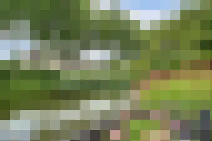 Koriander 4 Hoogkarspel thumbnail 35