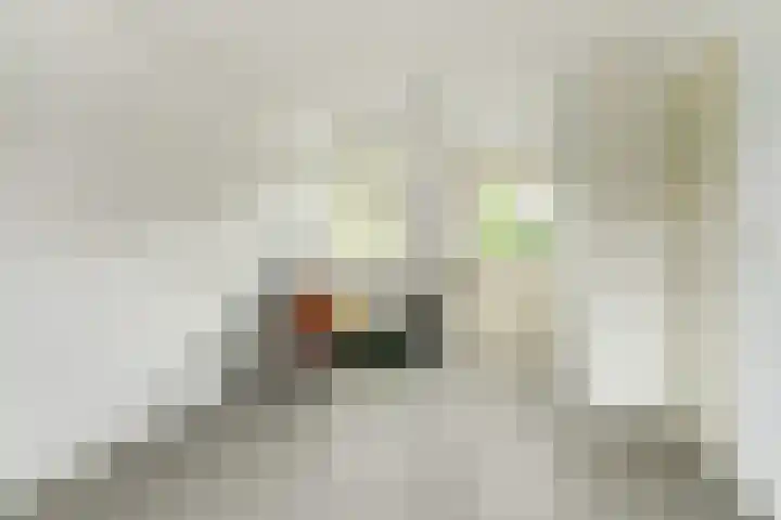 Koriander 4 Hoogkarspel thumbnail 39