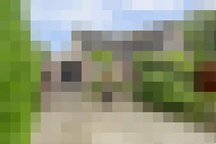 Koriander 4 Hoogkarspel thumbnail 4