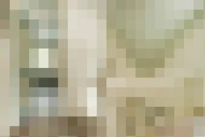 Koriander 4 Hoogkarspel thumbnail 40