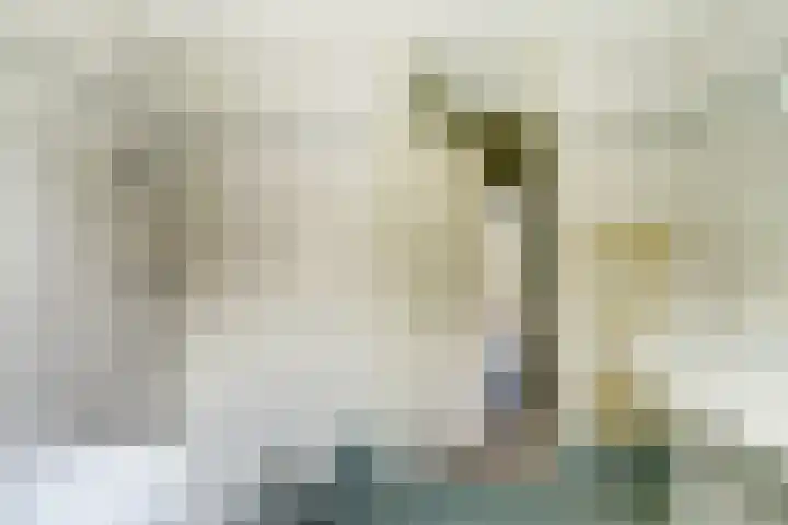 Koriander 4 Hoogkarspel thumbnail 45