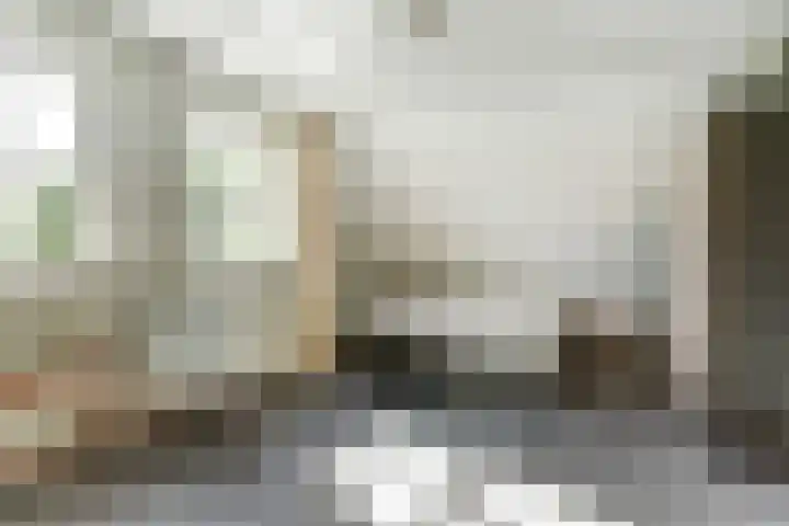 Koriander 4 Hoogkarspel thumbnail 47