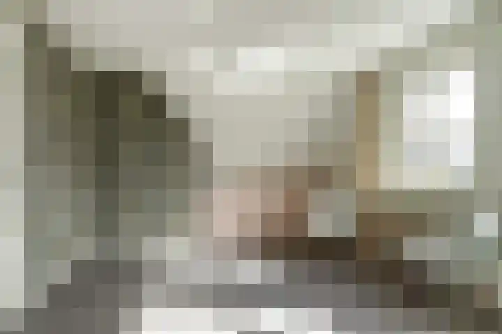 Koriander 4 Hoogkarspel thumbnail 48