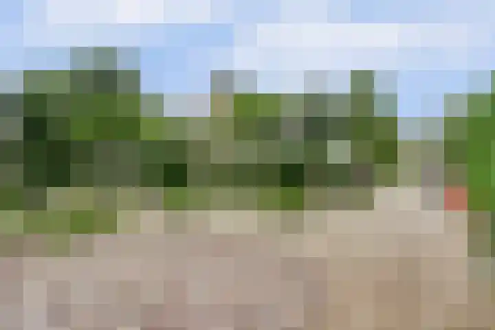 Koriander 4 Hoogkarspel thumbnail 5