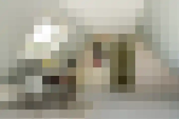 Koriander 4 Hoogkarspel thumbnail 50