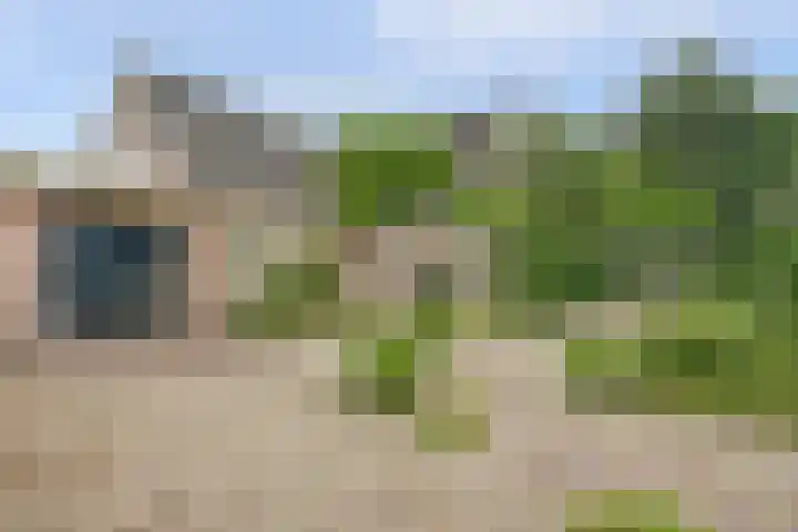 Koriander 4 Hoogkarspel thumbnail 52