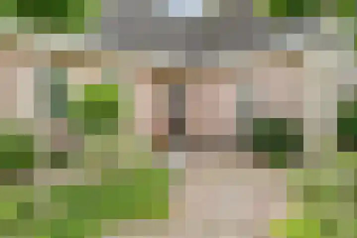 Koriander 4 Hoogkarspel thumbnail 6
