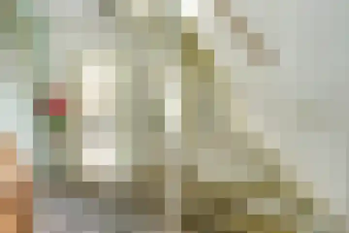 Koriander 4 Hoogkarspel thumbnail 8