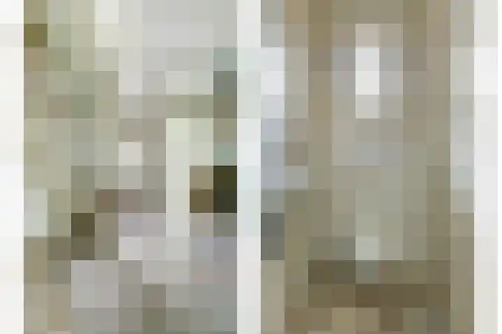 Koriander 4 Hoogkarspel thumbnail 9
