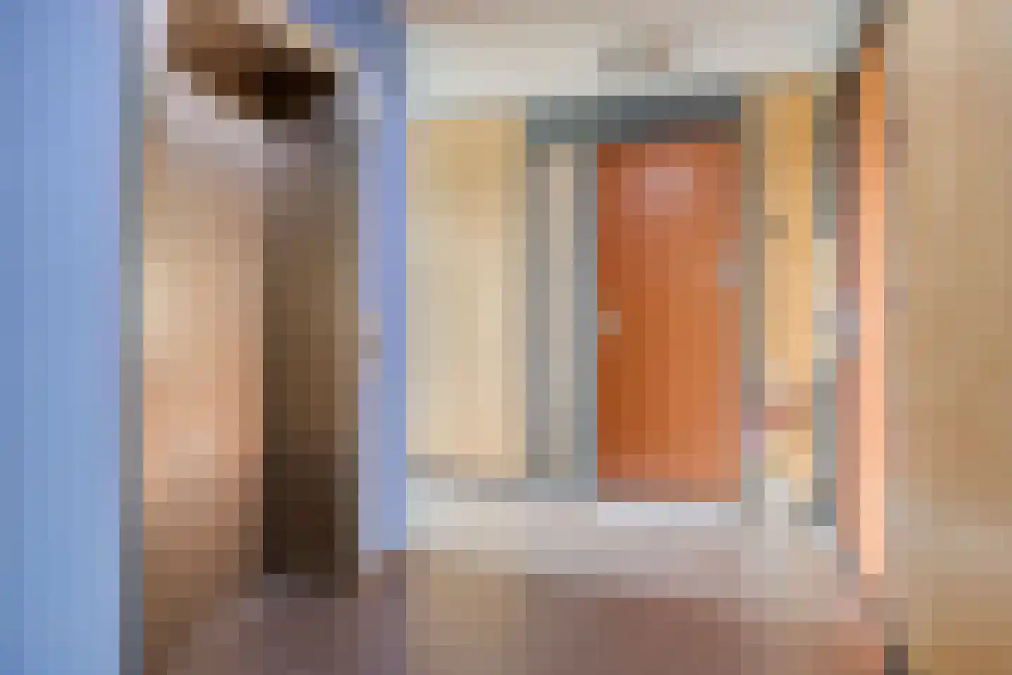 Koriander 6 Heinkenszand thumbnail 10