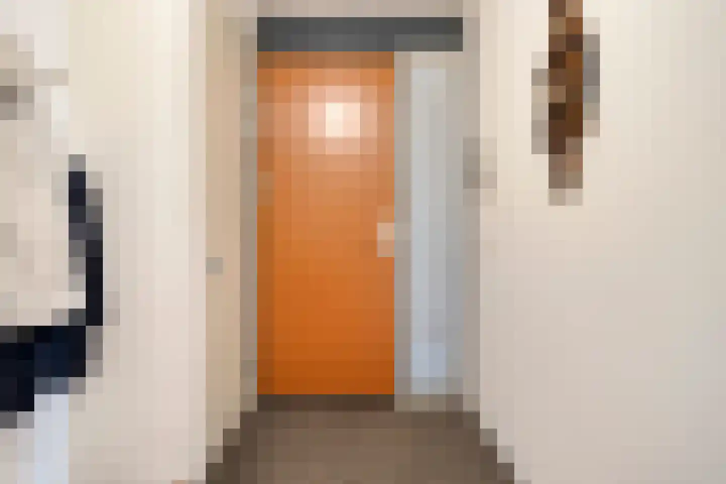 Koriander 6 Heinkenszand thumbnail 11