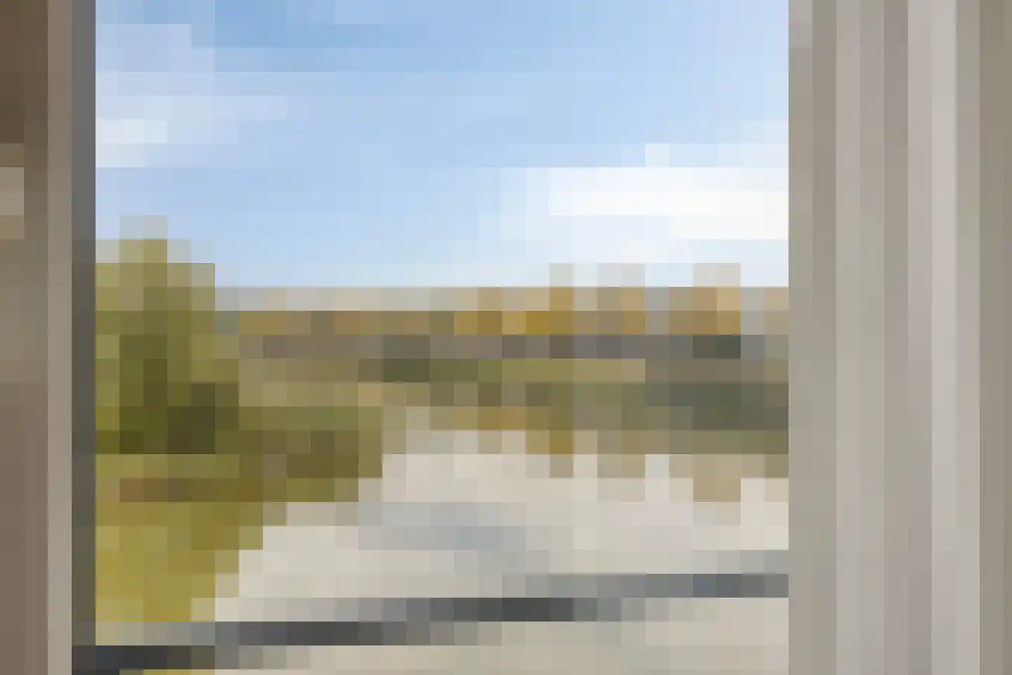 Koriander 6 Heinkenszand thumbnail 15