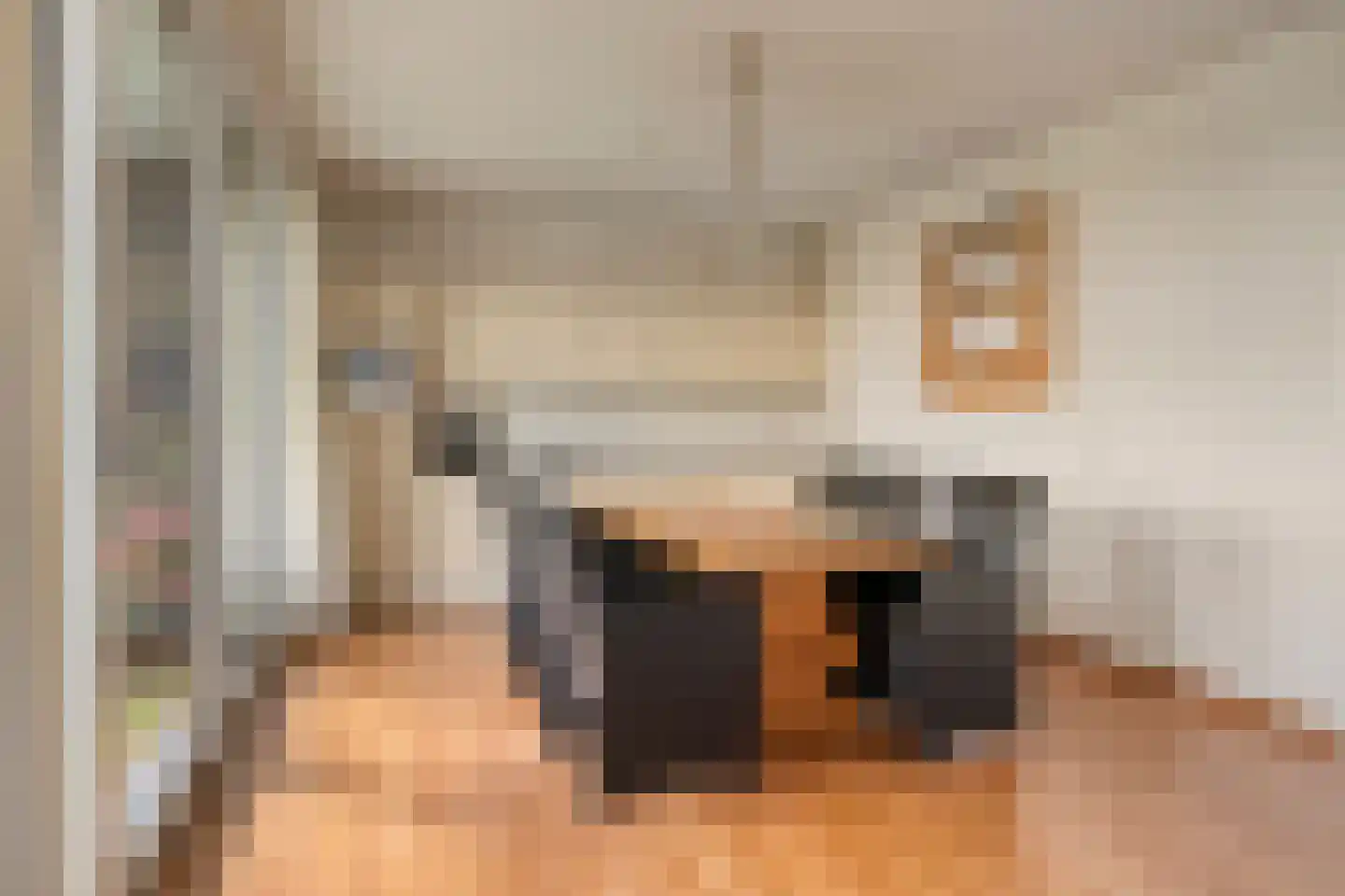 Koriander 6 Heinkenszand thumbnail 17