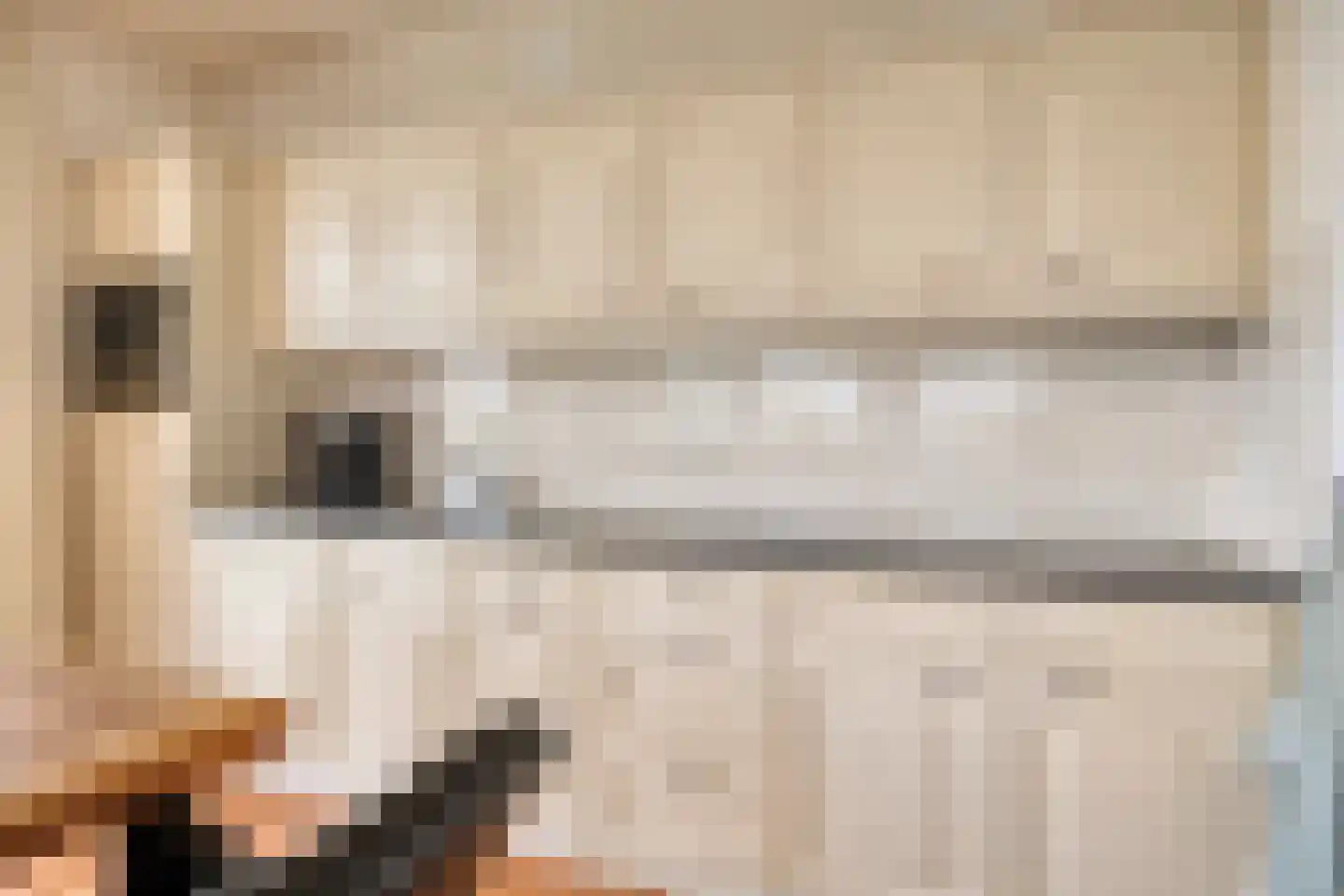 Koriander 6 Heinkenszand thumbnail 18