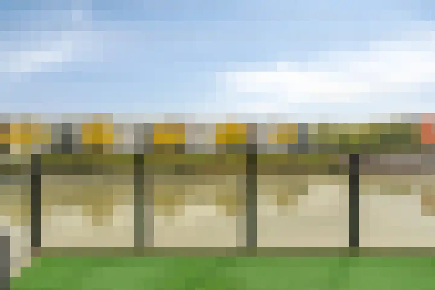 Koriander 6 Heinkenszand thumbnail 25