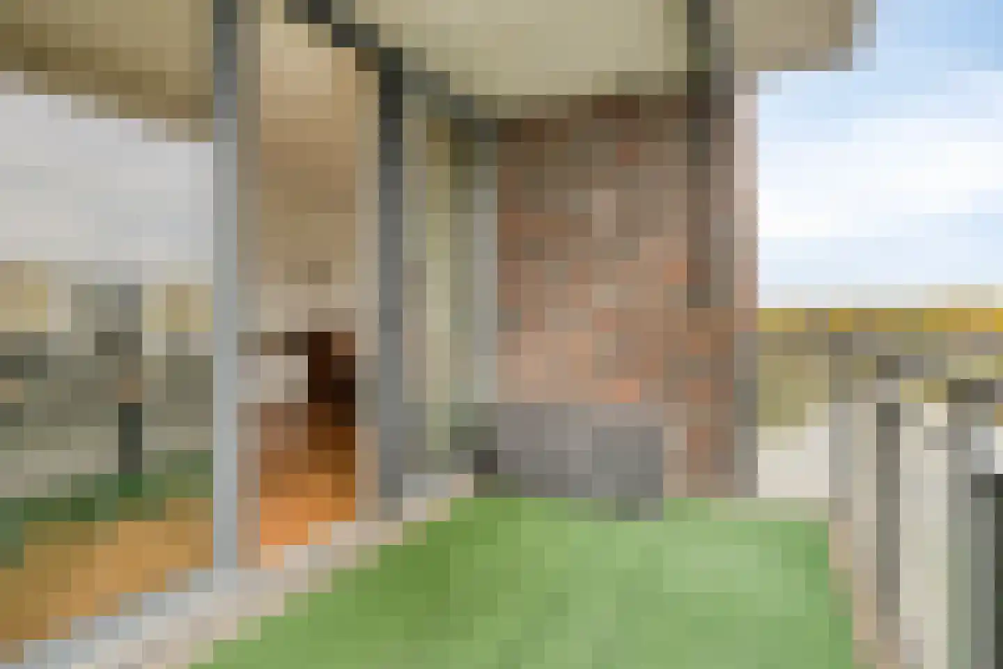 Koriander 6 Heinkenszand thumbnail 26