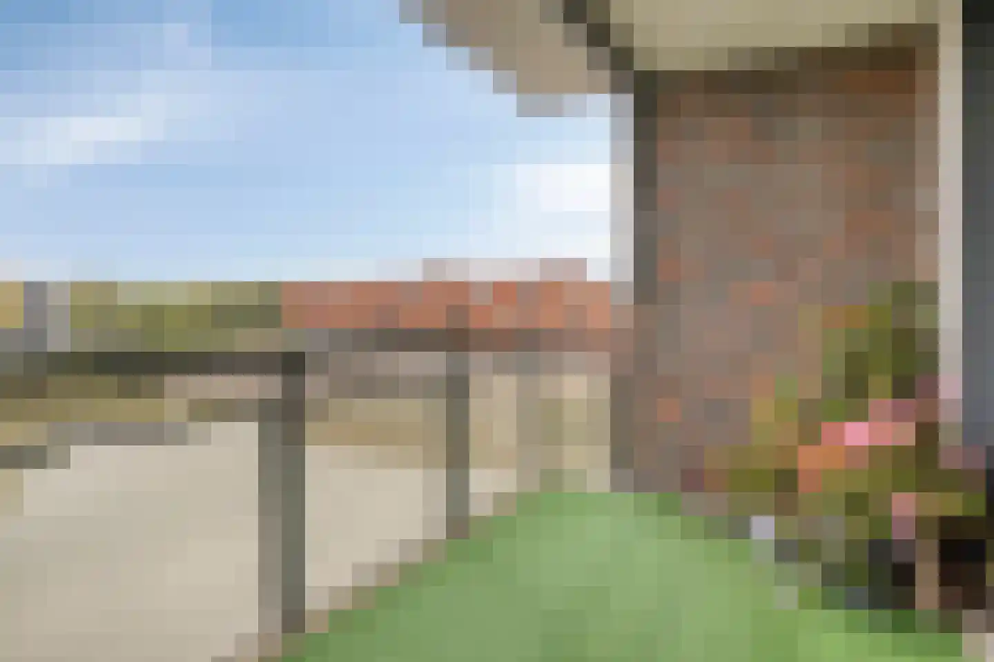 Koriander 6 Heinkenszand thumbnail 27
