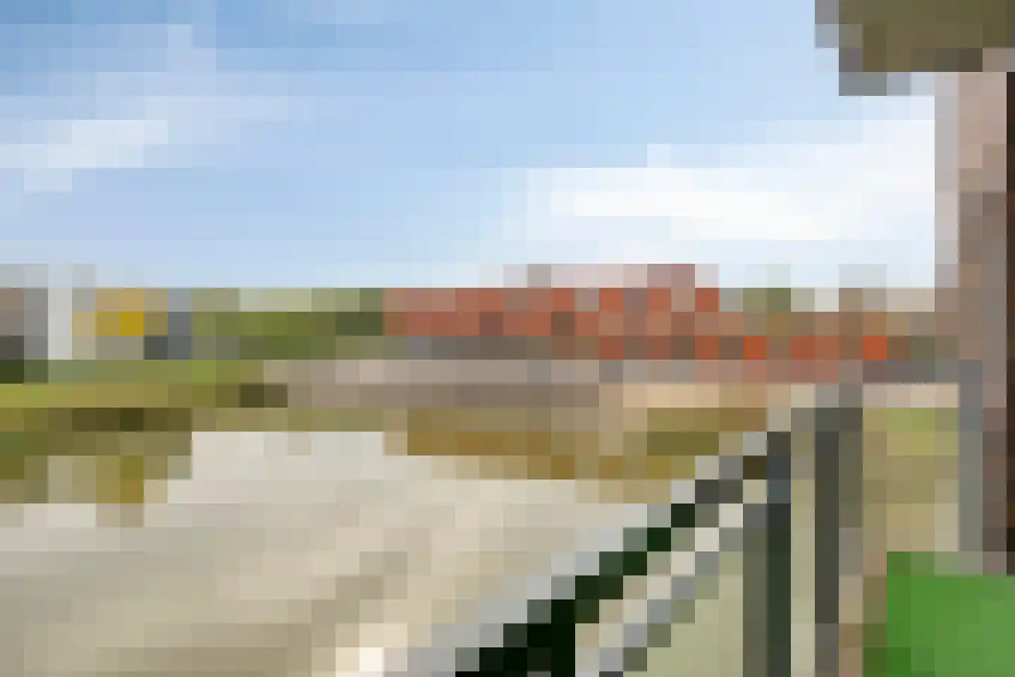 Koriander 6 Heinkenszand thumbnail 29