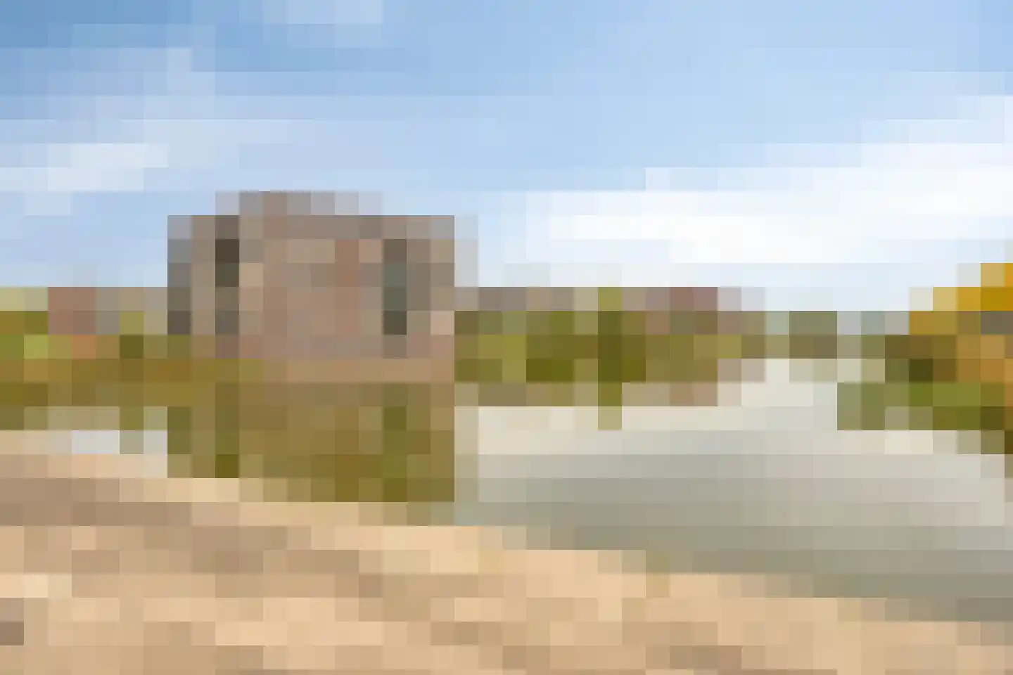 Koriander 6 Heinkenszand thumbnail 34