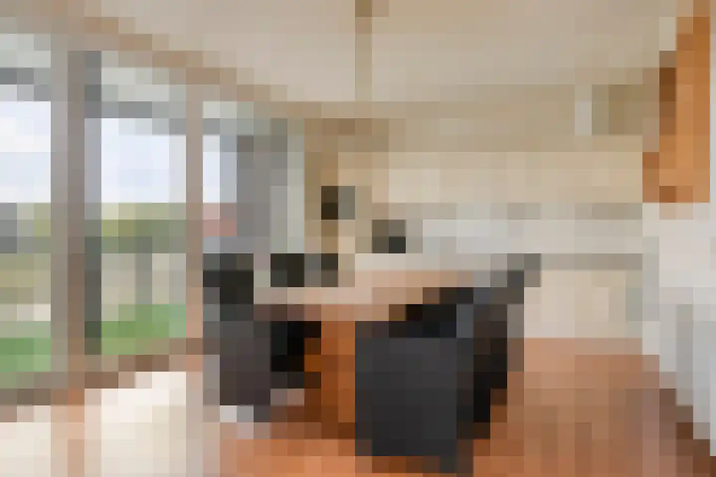 Koriander 6 Heinkenszand thumbnail 4