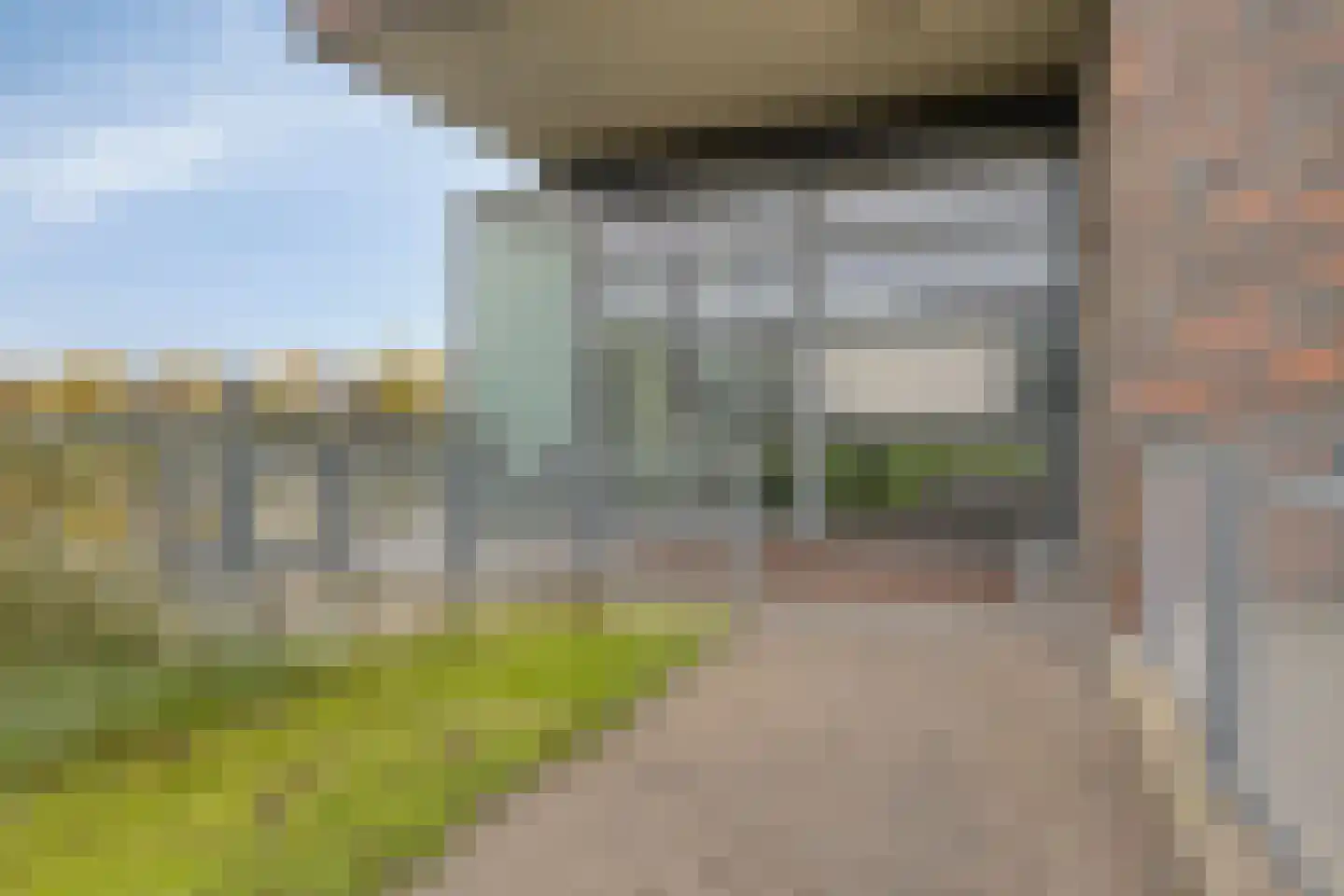 Koriander 6 Heinkenszand thumbnail 6