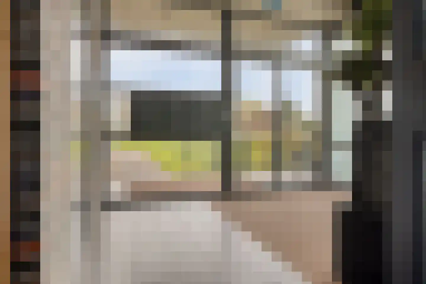 Koriander 6 Heinkenszand thumbnail 7