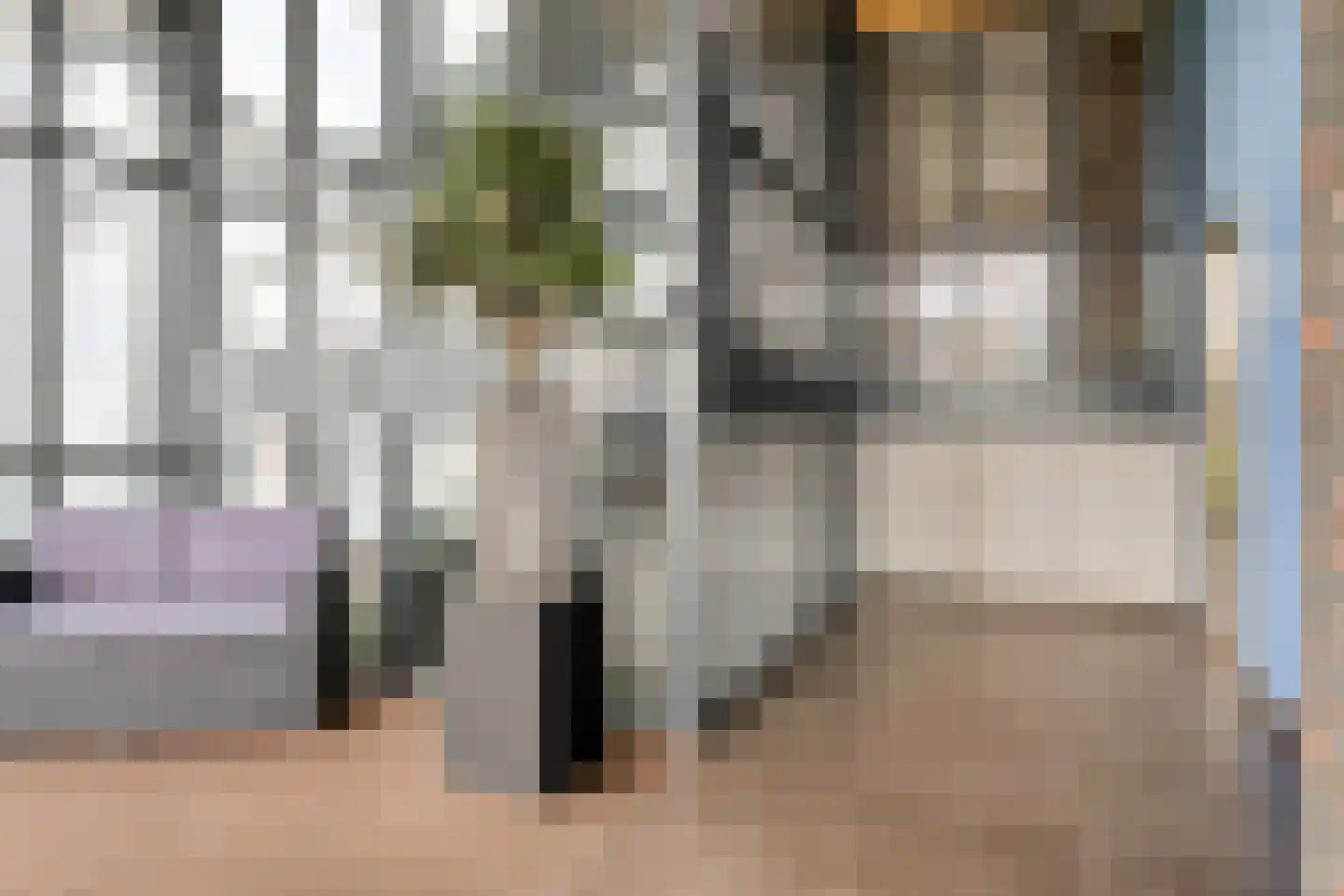 Koriander 6 Heinkenszand thumbnail 8