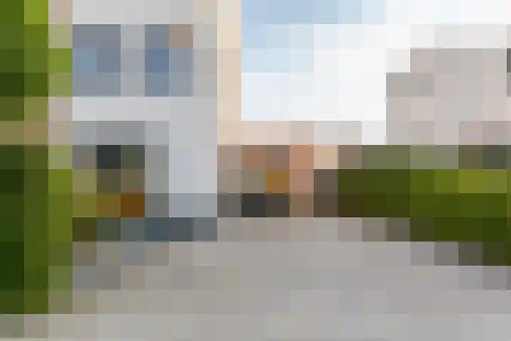Koriander 61 Lelystad thumbnail 34