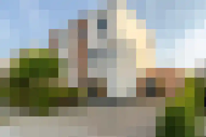 Koriander 61 Lelystad thumbnail 35