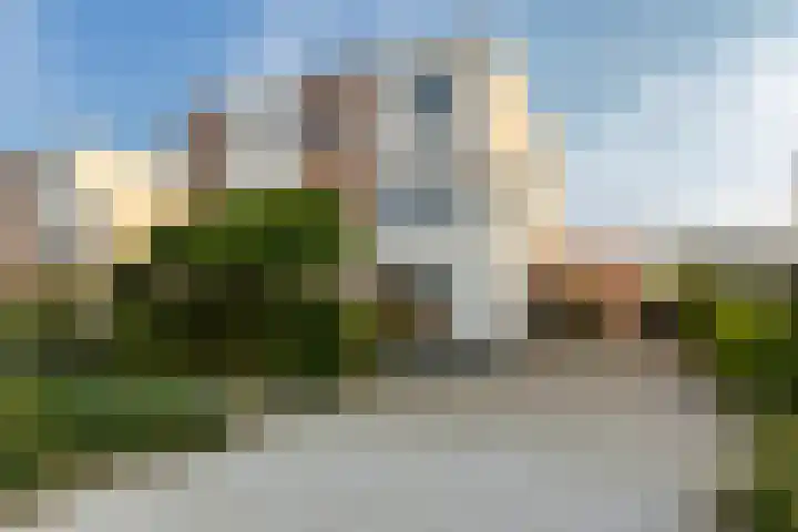 Koriander 61 Lelystad thumbnail 36