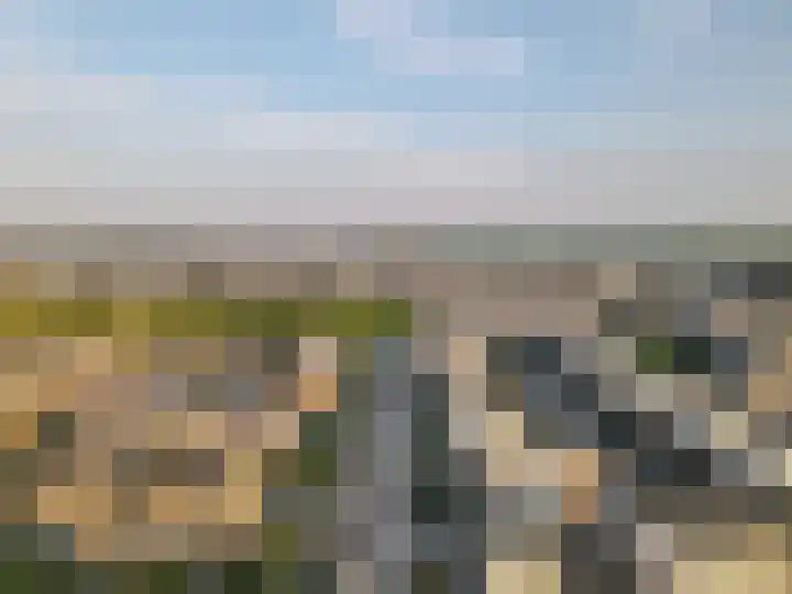 Koriander 61 Lelystad thumbnail 41