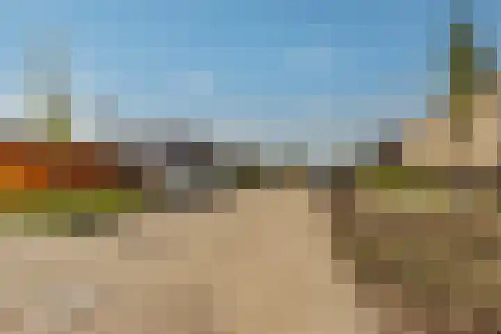 Koriander 74 Lelystad thumbnail 30